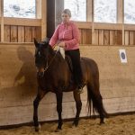 Horsespeak- die Stimme der Pferde: Seitengänge