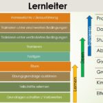 Die Wichtigkeit des Sitzes bei der Hilfengebung